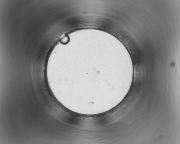 X0000116390301201001131835