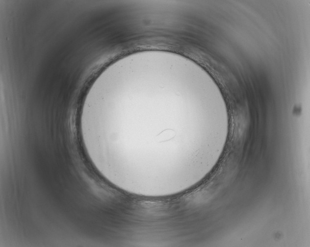 X0000116390302201001131835