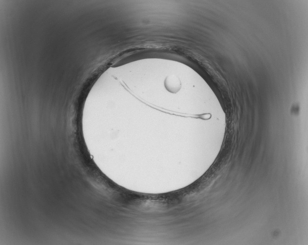 X0000116390303201001131835