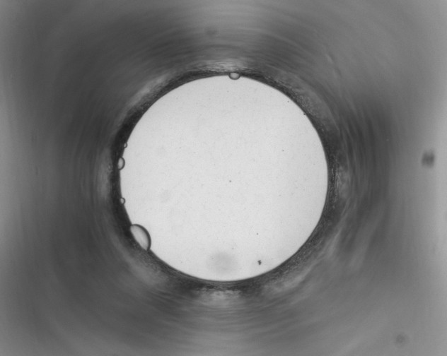 X0000116390304201001131835