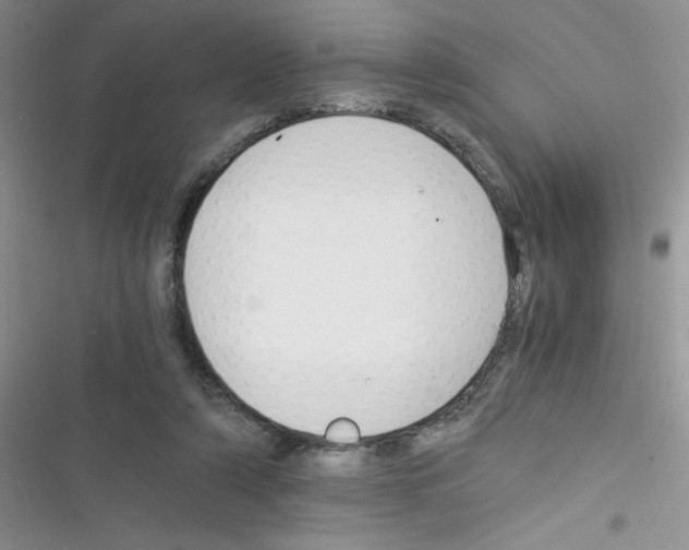 X0000116390306201001131835