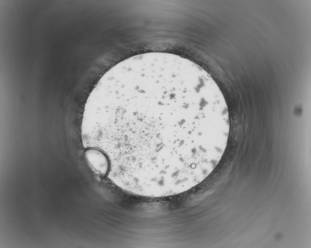 X0000116390307201001131835