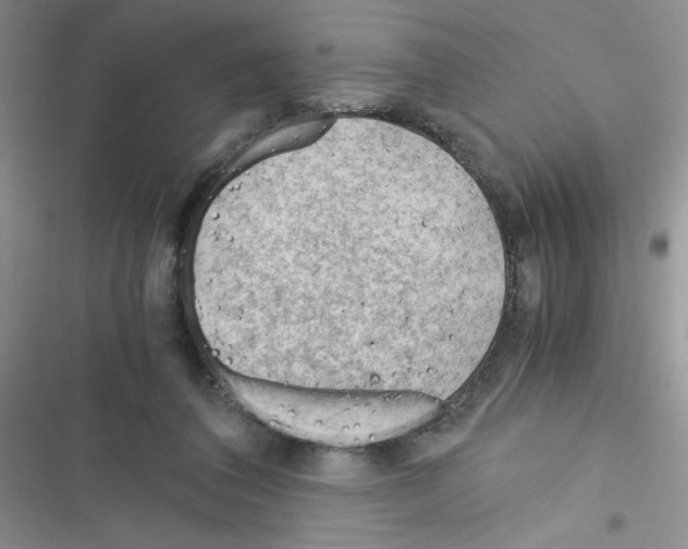 X0000116390308201001131835