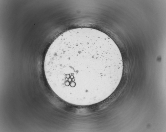X0000116390309201001131835