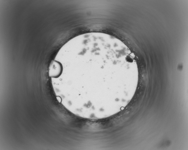 X0000116390311201001131835