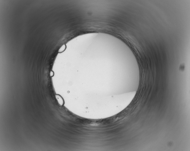 X0000116390312201001131835