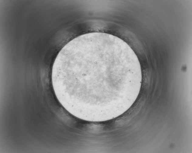 X0000116390313201001131835