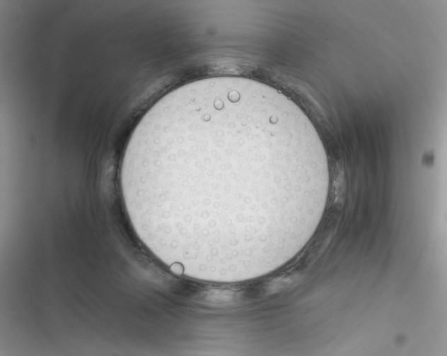 X0000116390314201001131835