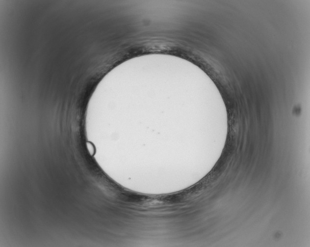 X0000116390315201001131835