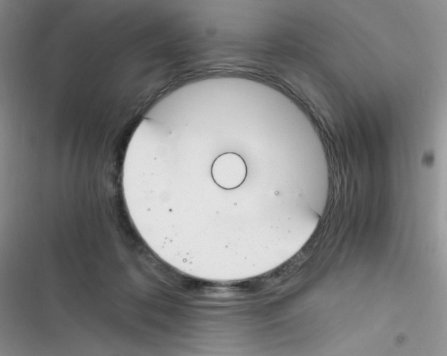X0000116390316201001131835