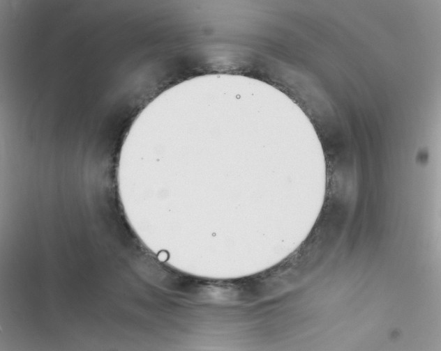 X0000116390317201001131835