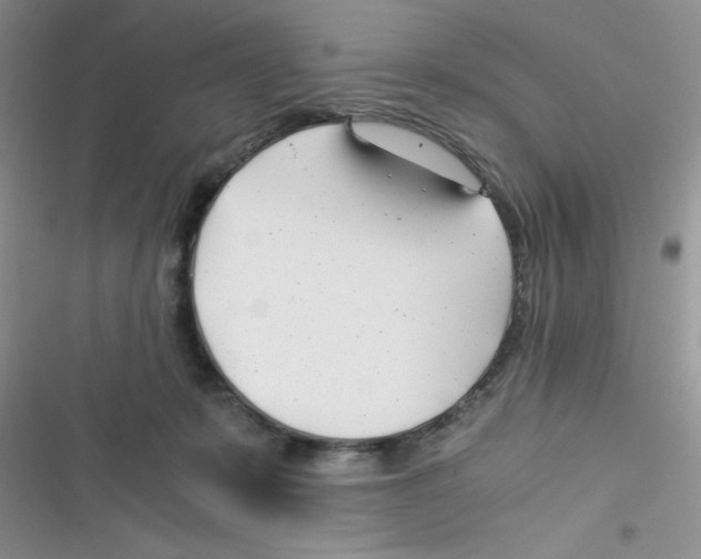 X0000116390319201001131835