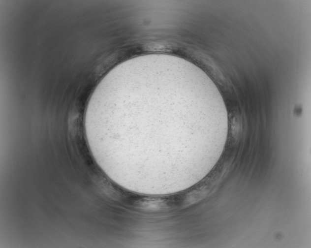 X0000116390322201001131835