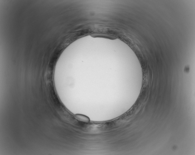 X0000116390323201001131835