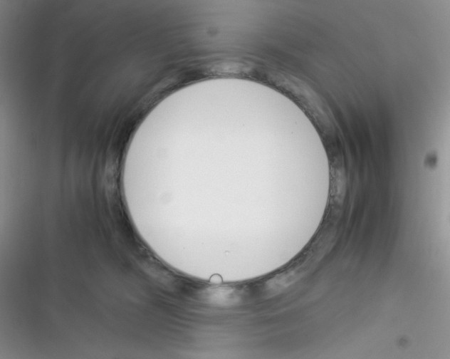X0000116390326201001131835