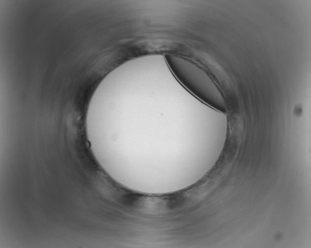 X0000116390327201001131835