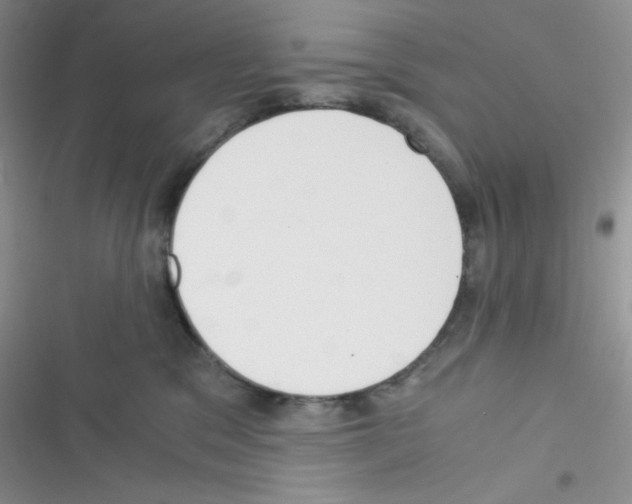 X0000116390329201001131835