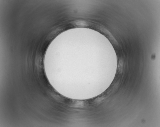 X0000116390330201001131835