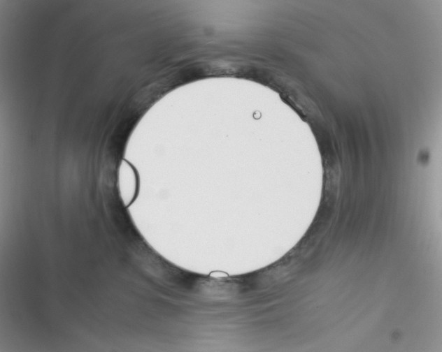 X0000116390331201001131835