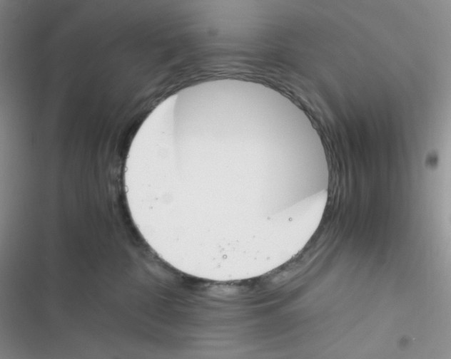 X0000116390332201001131835