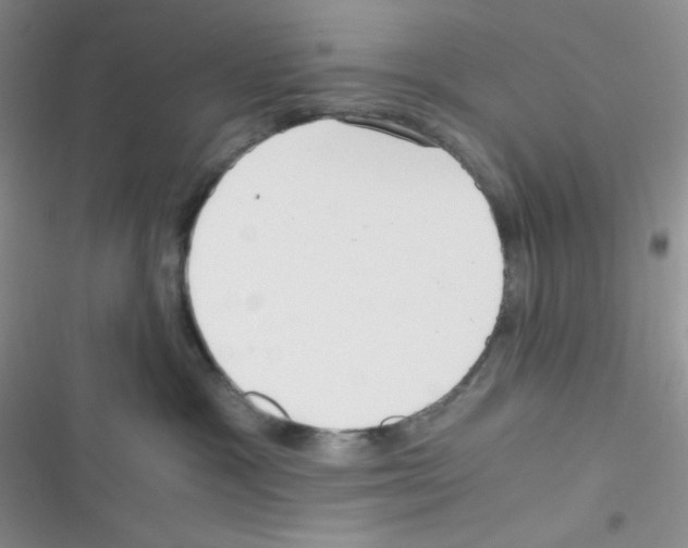 X0000116390333201001131835