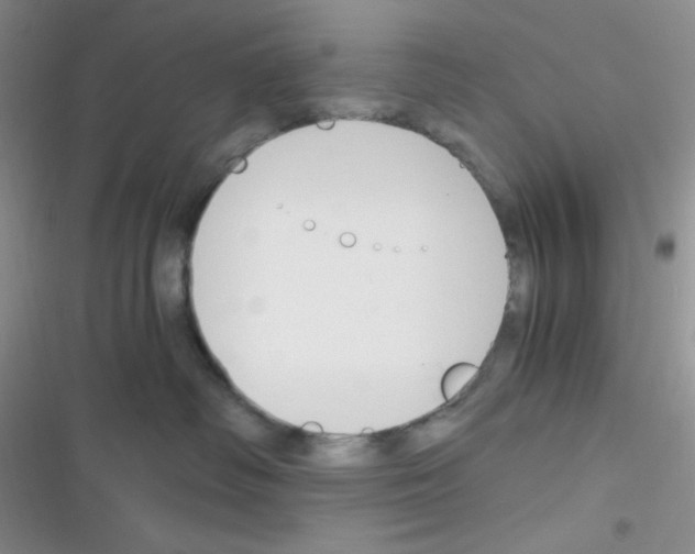 X0000116390334201001131835