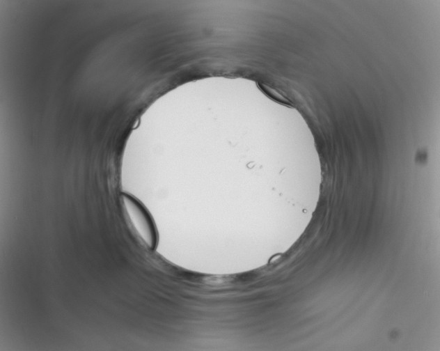 X0000116390335201001131835