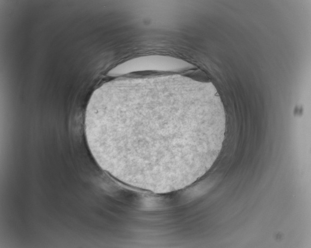 X0000116390336201001131835
