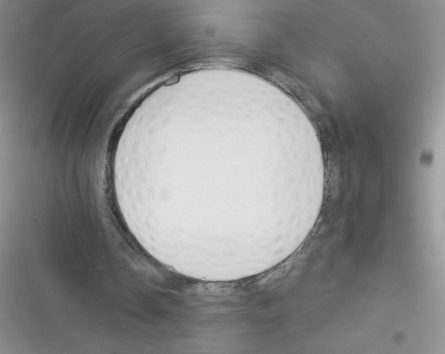 X0000116390338201001131834