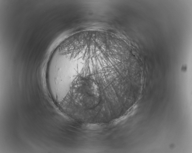 X0000116390341201001131834