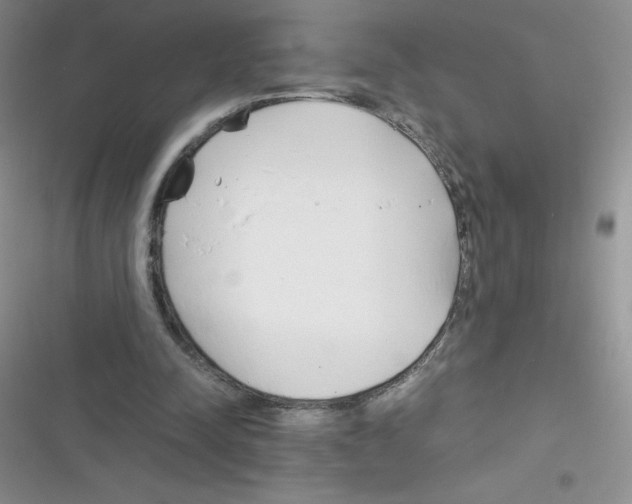 X0000116390342201001131834