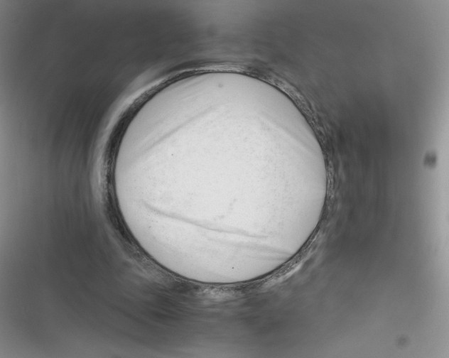 X0000116390343201001131834