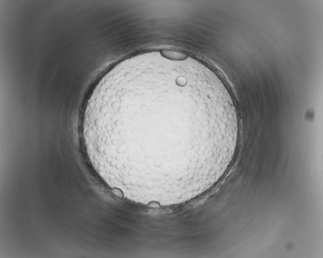 X0000116390345201001131834