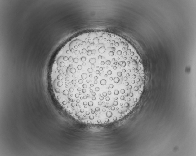 X0000116390346201001131834