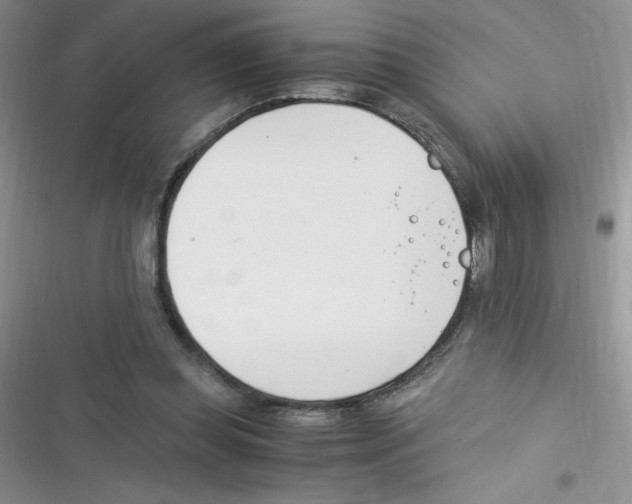 X0000116390349201001131834
