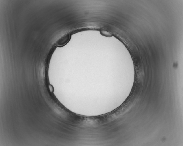 X0000116390350201001131834