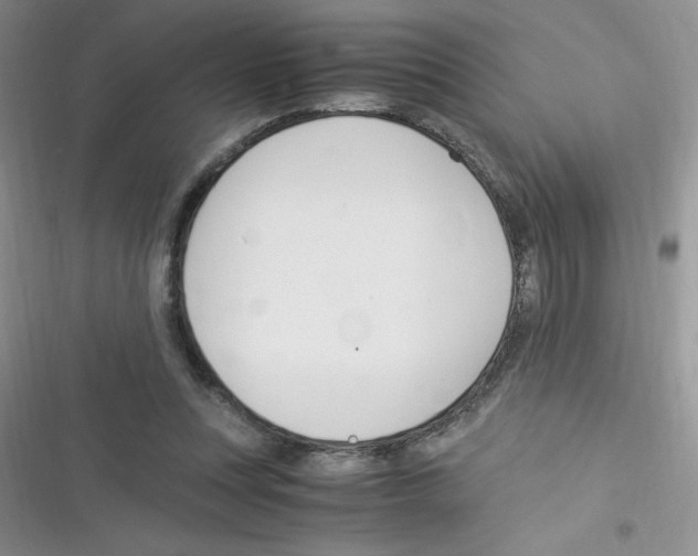 X0000116390351201001131834