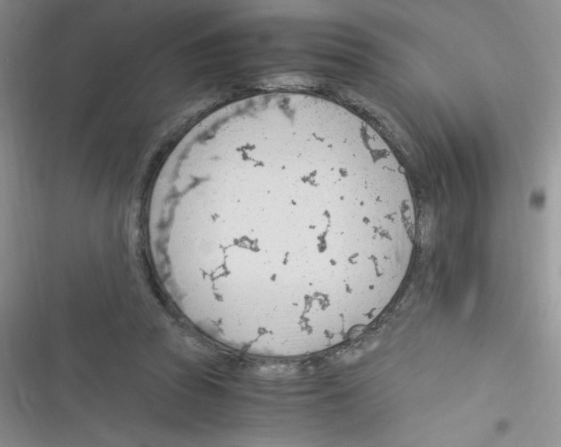 X0000116390353201001131834