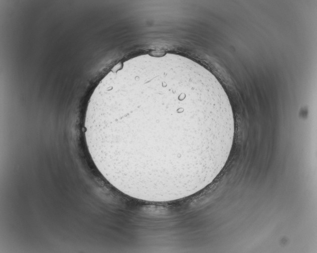 X0000116390354201001131834