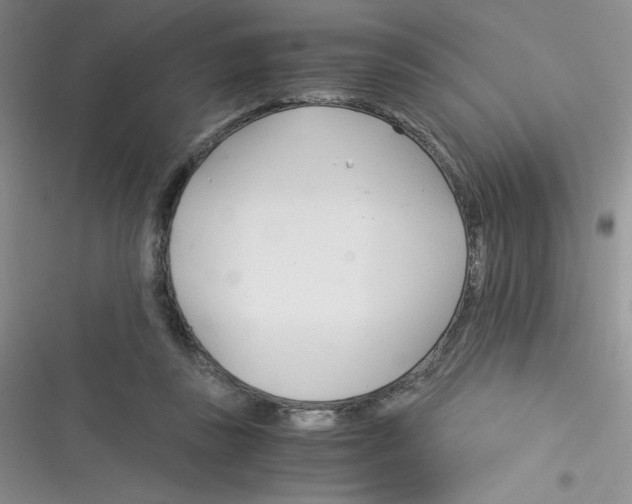 X0000116390355201001131834
