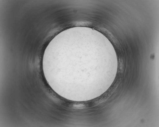 X0000116390357201001131834