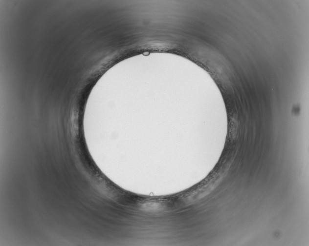 X0000116390358201001131835