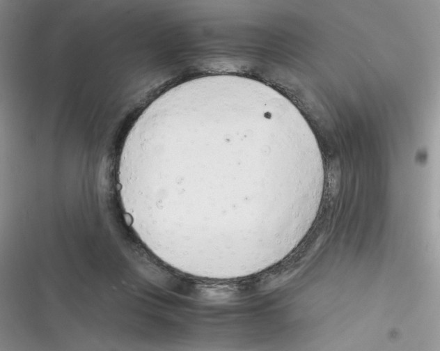X0000116390359201001131835