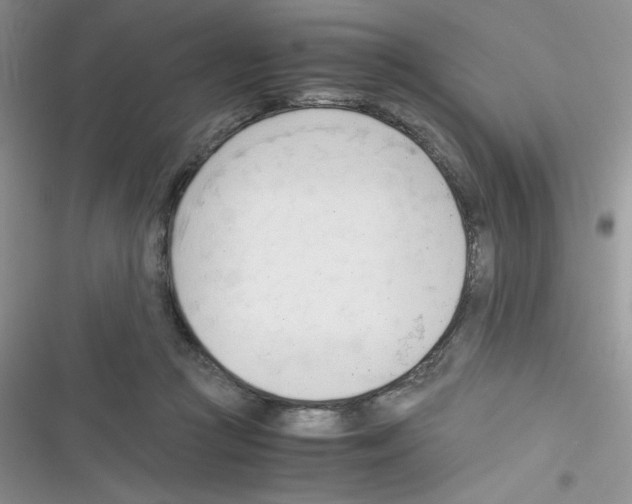 X0000116390361201001131835