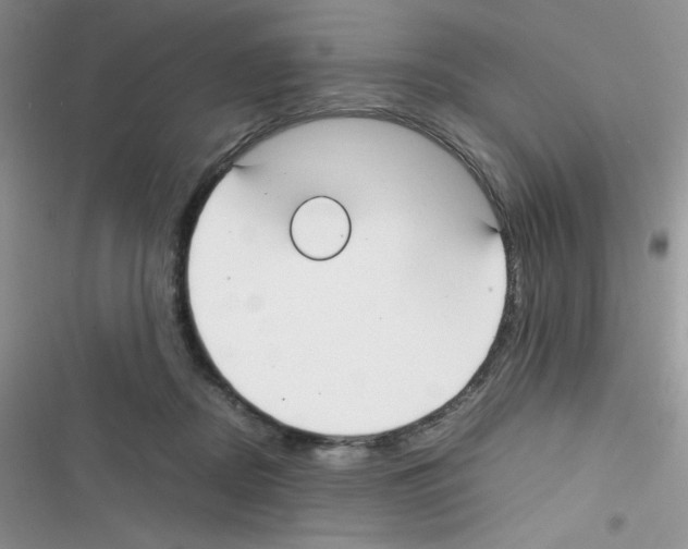 X0000116390362201001131835