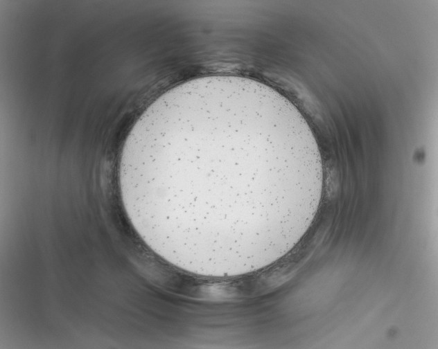 X0000116390365201001131835