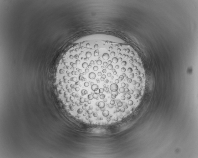 X0000116390366201001131835