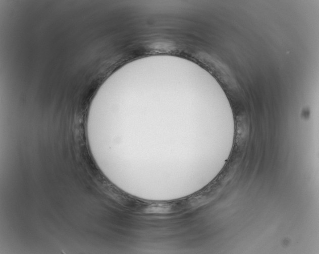 X0000116390369201001131835