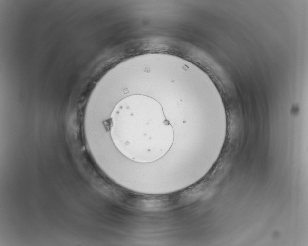 X0000116390370201001131835