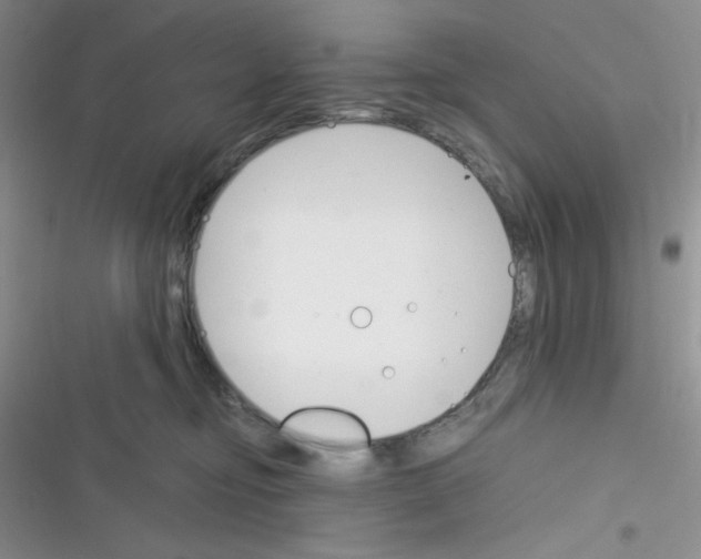 X0000116390374201001131835